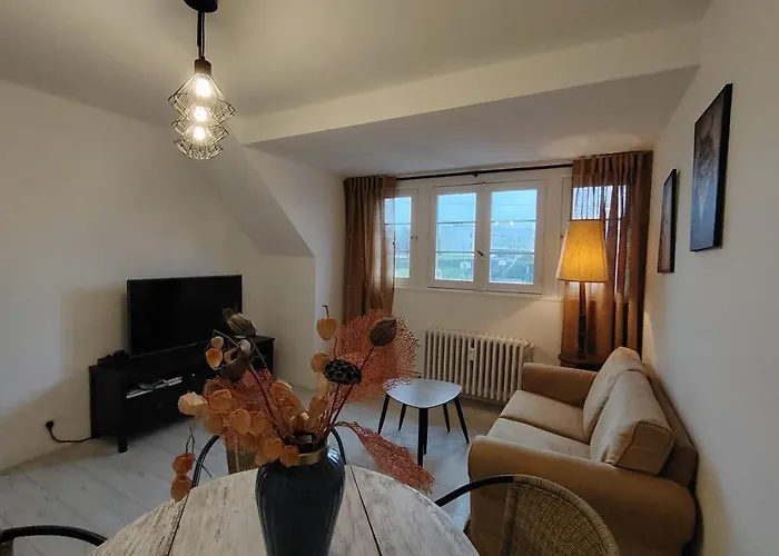 Apartament Le Parc *